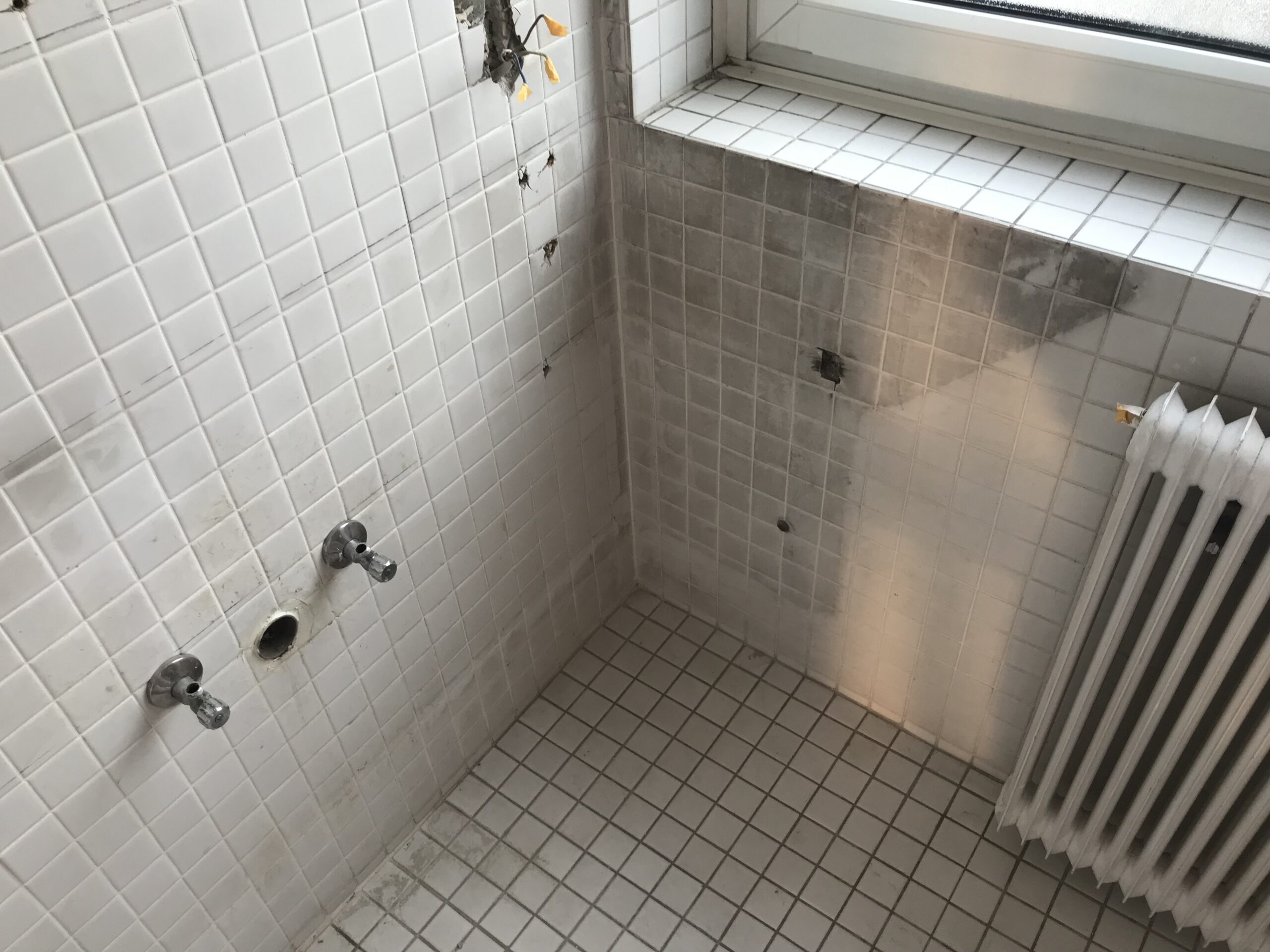 JPEG-Bild 4